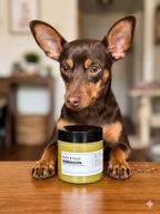 Ultimate 4-Piece All-Natural Dog Grooming & Coat Care Kit - Roxy & Razz Dog Life